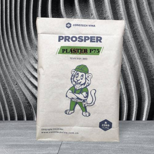 PLASTER P75